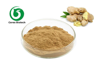 Water Soluble Concentrate Concentrate Gingerol Powder Ginger Extract Powder