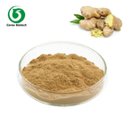 Food Grade Ginger Extract Gingerols Powder 40%