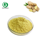 Natural Herbal Extract Powder Organic Dried Ginger Powder 40%