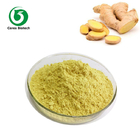 Natural Herbal Extract Powder Organic Ginger Extract Gingerol Powder