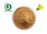 Pure Natural Supplements Saponins 90% Tribulus Terrestris Extract Powder