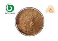 Food Grade Lions Mane Extract Powder Hericium Erinaceus Extract Powder