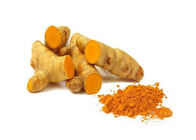 20% Turmeric Root Extract For Healthcare Supplement Anti - Atherosclerotic
