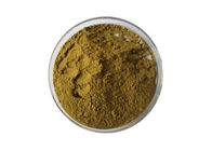 Enhance Immune Function Garlic Extract Powder 30/1 For Health Care Solvent Extraction