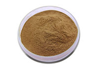 Enhance Immune Function Garlic Extract Powder 30/1 For Health Care Solvent Extraction