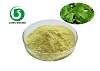 Brown Yellow Epimedium Extract Powder Icariin 98% Pharmaceutical Food Grade