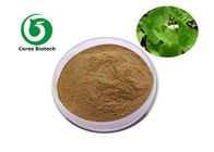 High Efficiency Epimedium Extract Powder Icariin 10% Solvent Extraction Pharmaceutical Field