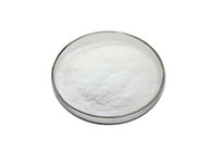 Natrual Herbal Extract Powder Lupin Bean Extract Powder Lupeol 98%