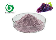 100% Natural Grape Concentrate Juice Powder VC Powdered Juice Concentrate