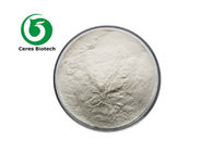 CAS 68424-04-4 Food Additive Natural Sweeteners Polydextrose Powder