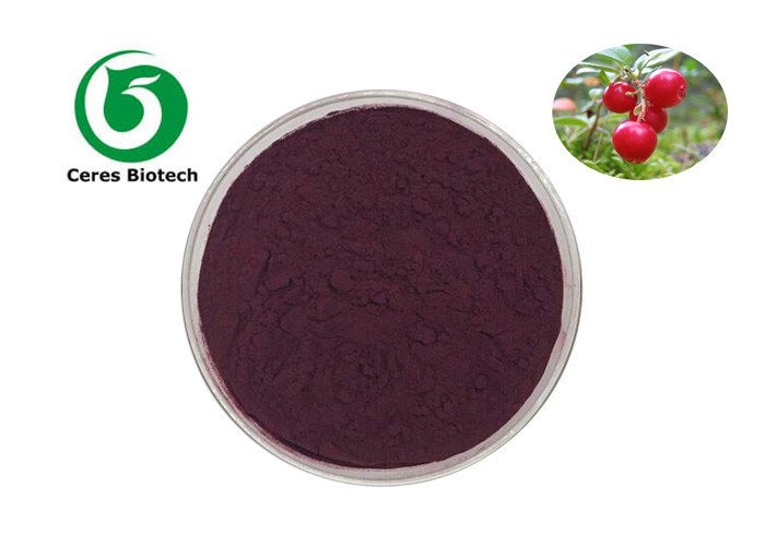 Pure Organic Vaccinium Myrtillus Extract 5% Anthocyanins Powder