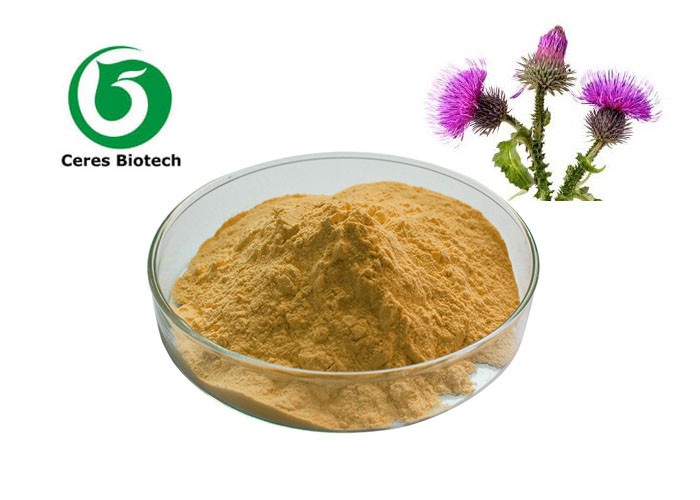Herbal Milk Thistle Extract 80% Silymarin Powder Cas 65666-07-1