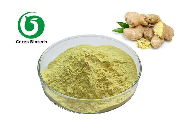 Ginger Root Extract Powder Food Grade Gingerol 40%