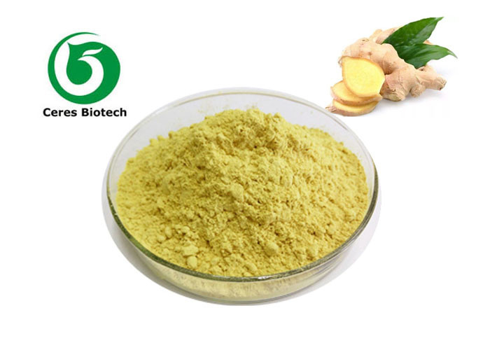 Organic Ginger Extract Powder Gingerol Powder Supplements