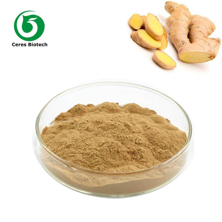 Food Grade Herbal Extract Powder Organic Ginger Powder