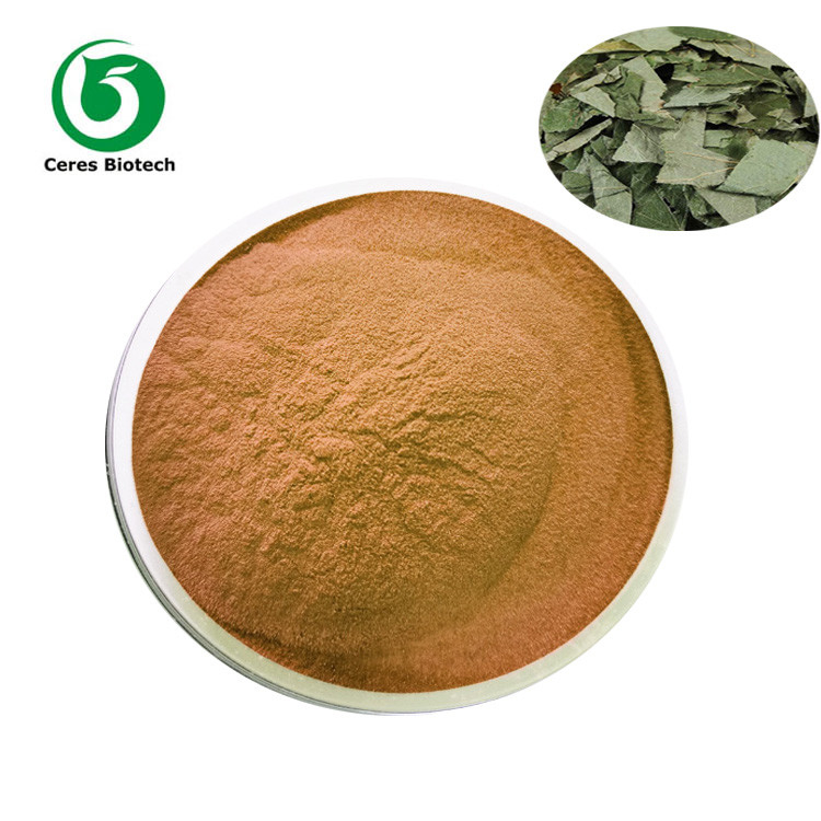 98% Organic Epimedium Extract Icariin Powder 98% HPLC ISO