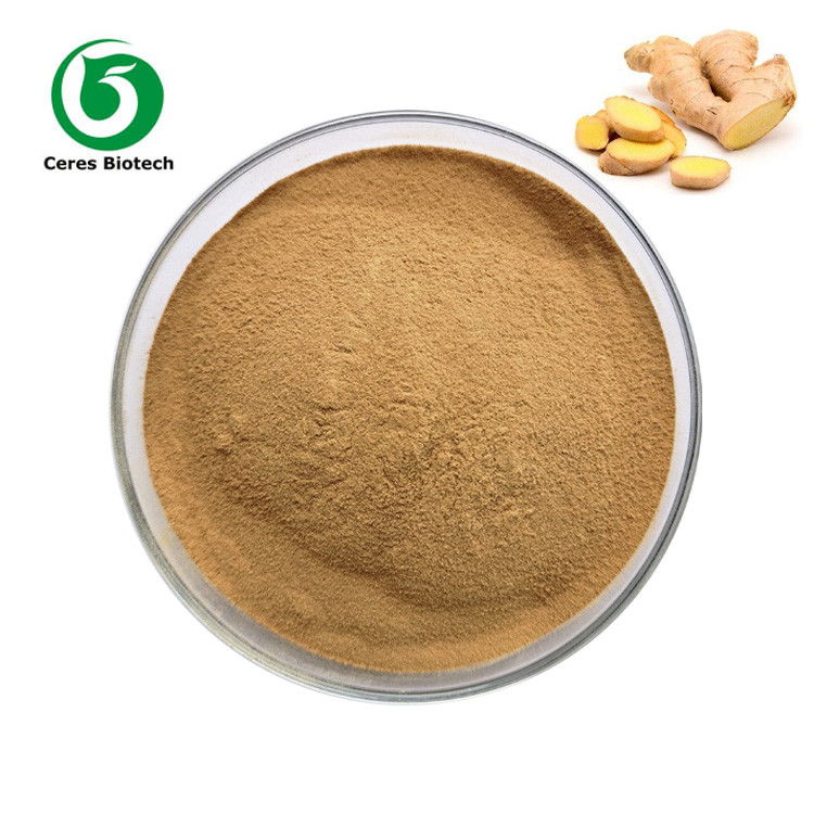 Raw Material Instant Ginger Powder Organic Ginger Extract Powder Health Spices