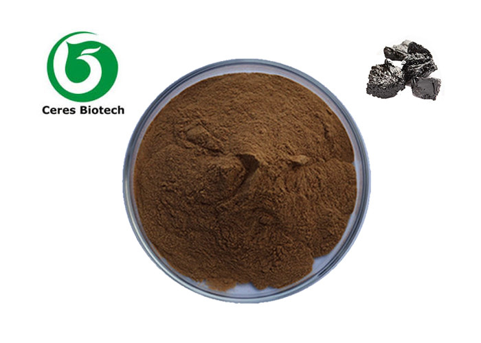 Bulk Herbal Extract Powder 40% Black Shilajit Extract Fulvic Acid Powder