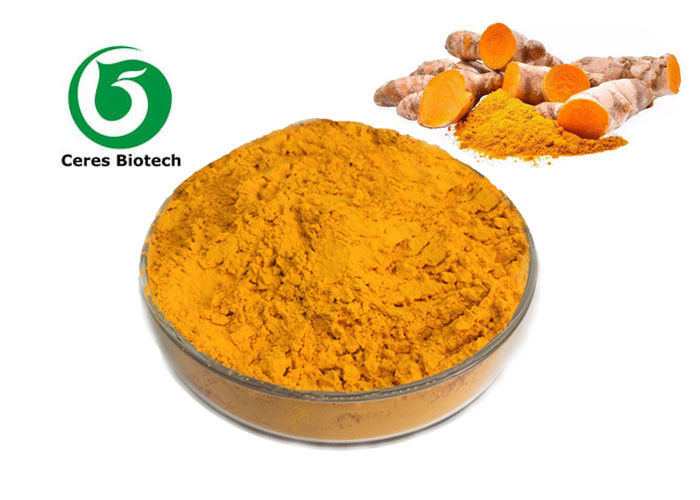 Water Soluble Pure Curcumin Powder Curcumin 10% Orange - Yellow Powder