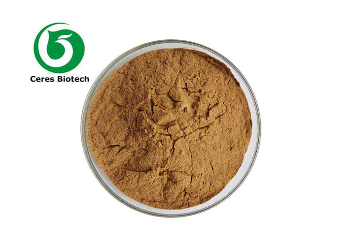 Bulk Desmodium Adscendens Herbal Extract Powder 10:1 20:1